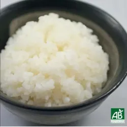 Bol de riz nature – Riz blanc japonais | Kyo Sushi Plan de Campagne