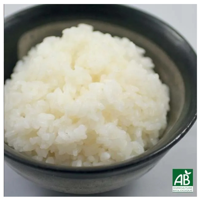 Bol de riz nature – Riz blanc japonais | Kyo Sushi Plan de Campagne